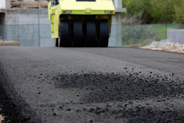 Best Professional Driveway Pavers  in Indian Shores, FL